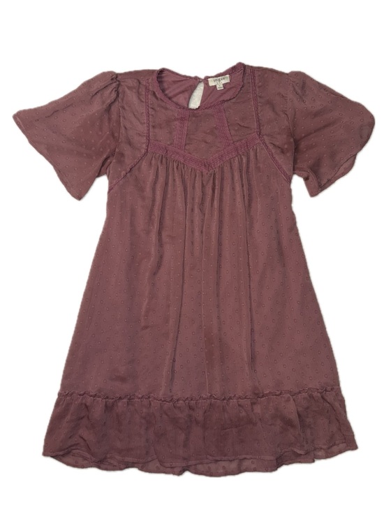 Umgee Dresses & Skirts - Umgee Mauve-Pink Swiss Dot Lace Yoke Dress